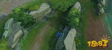 王者植物最新爆料,神秘植物登场,生态平衡再升级